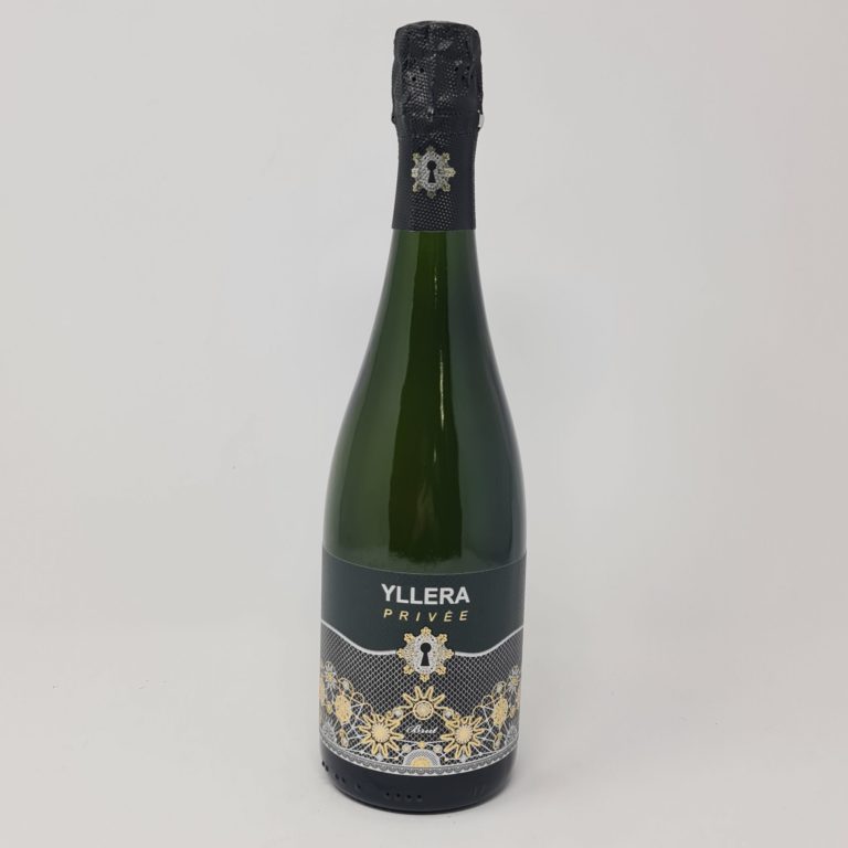 20230729_101743-scaled